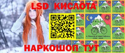 прущие крисы Бийск
